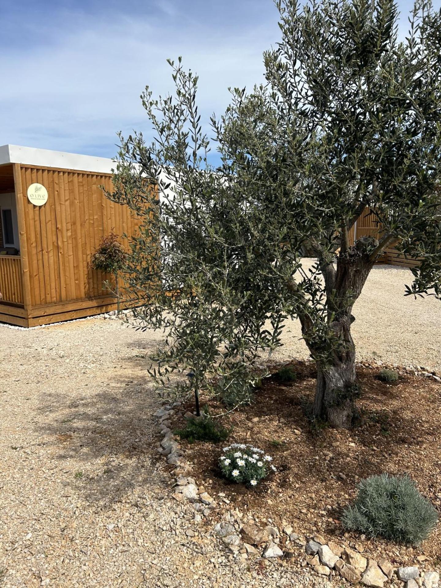 O'Live Premium Mobile Home Drage Exterior foto